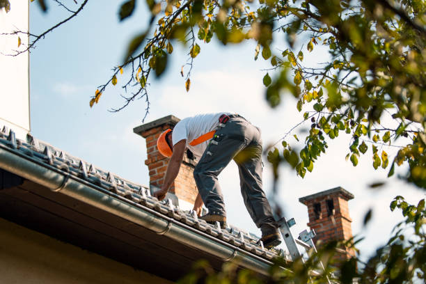 Best Roof Maintenance Services  in Nth Bend, OR