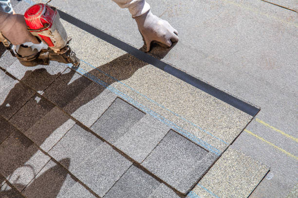Best Roof Gutter Cleaning  in Nth Bend, OR